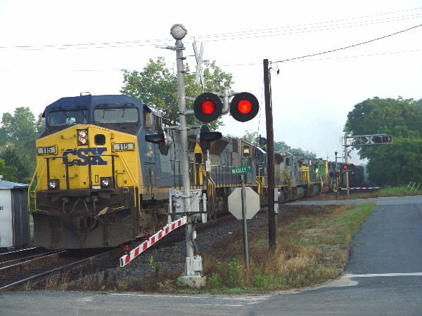 CSX 115